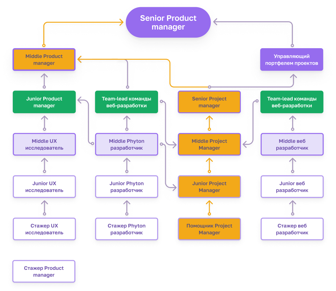 Разобьет весь план на этапы
